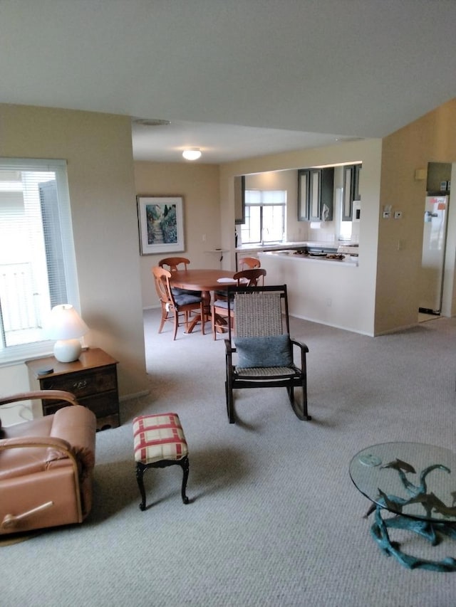 living room featuring carpet floors and sink