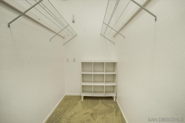 walk in closet featuring carpet floors