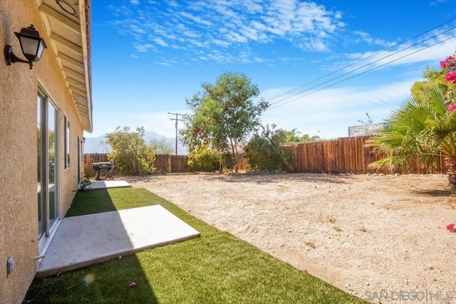 view of yard featuring a patio area