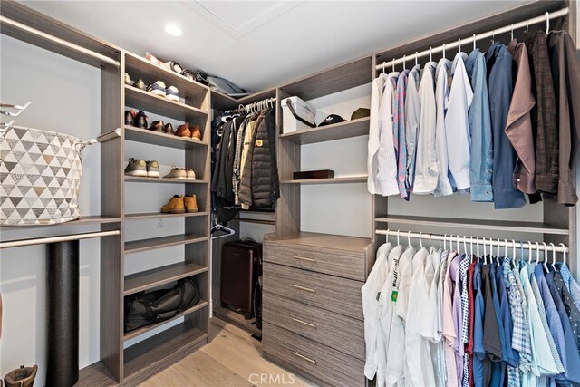 spacious closet featuring light hardwood / wood-style flooring