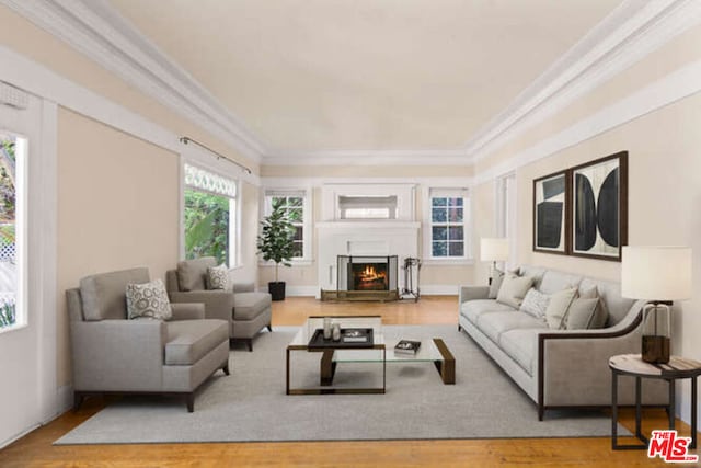 living room with crown molding and wood-type flooring