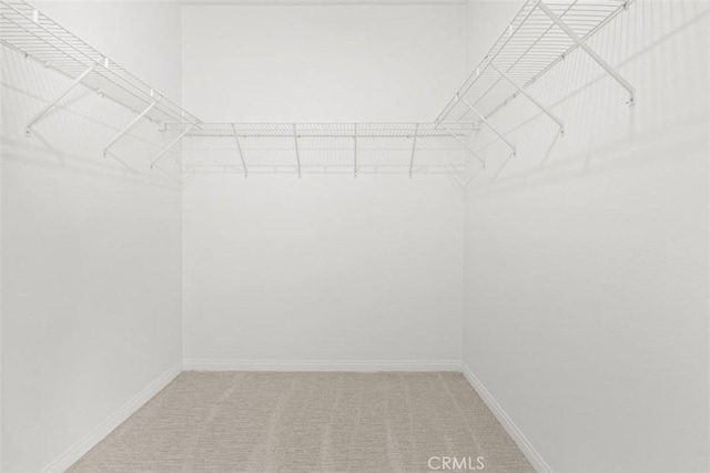 walk in closet featuring carpet