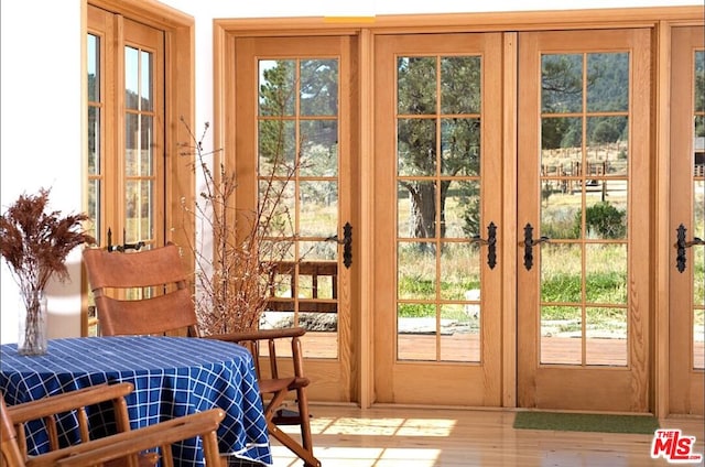 entryway featuring hardwood / wood-style flooring, french doors, and plenty of natural light