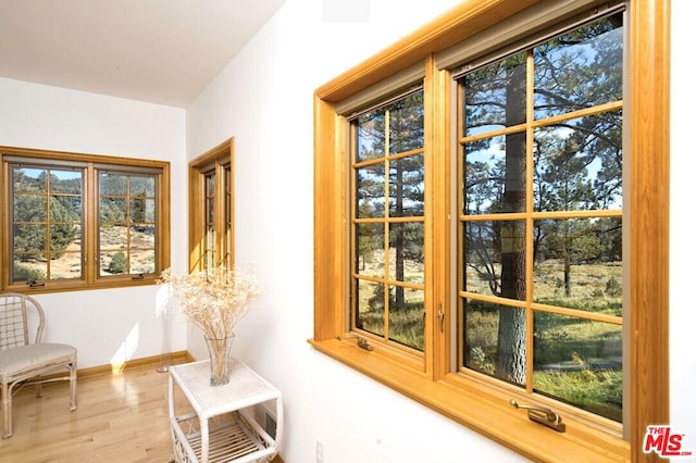 interior space featuring light hardwood / wood-style floors