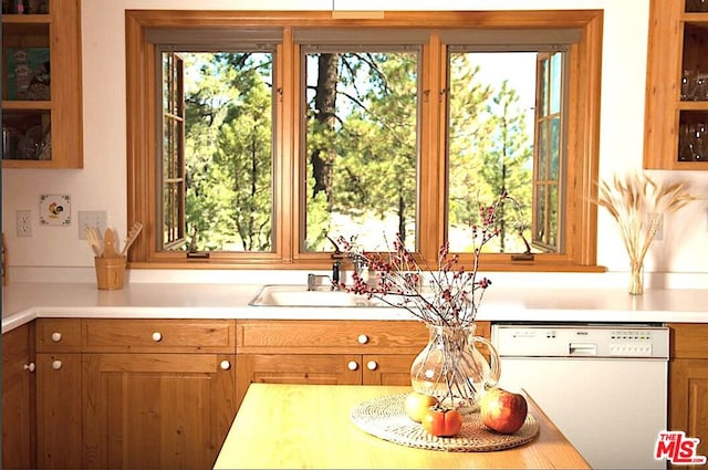 kitchen featuring dishwasher