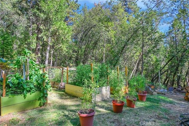 9226 La Porte Rd, Brownsville, CA 95919 - view of yard with a vegetable garden