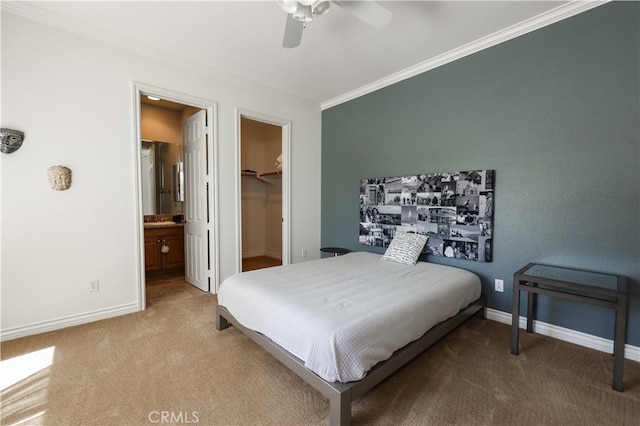 carpeted bedroom with ceiling fan, connected bathroom, a closet, a spacious closet, and crown molding