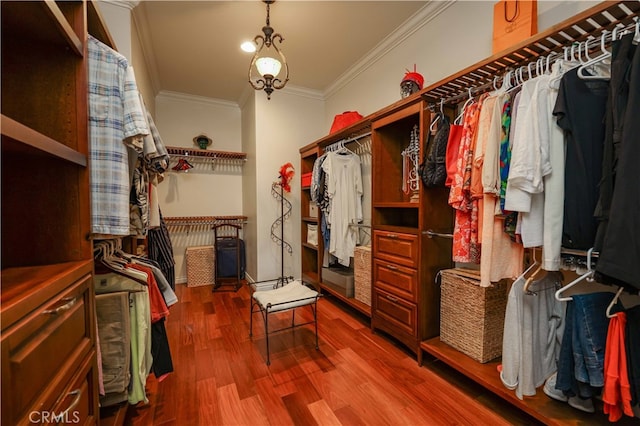 spacious closet with wood-type flooring