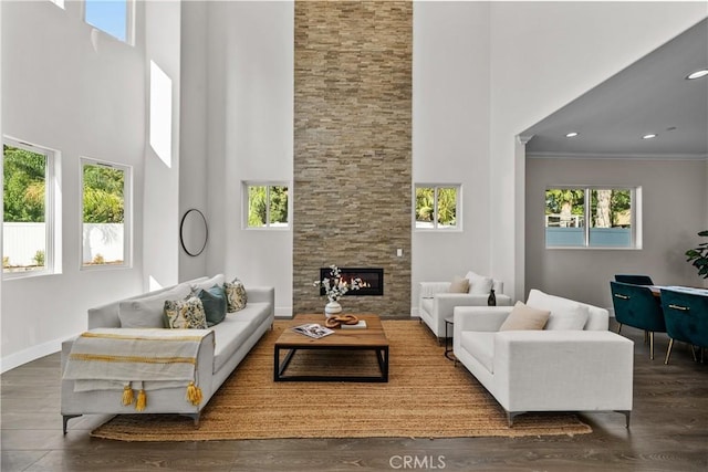 living room with a stone fireplace, dark wood-type flooring, a high ceiling, and ornamental molding