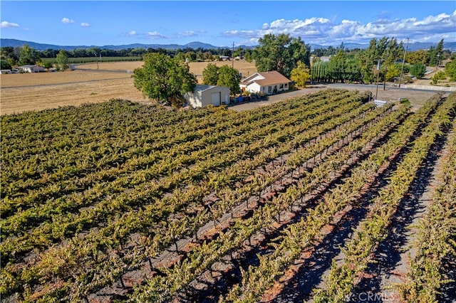 exterior space featuring a mountain view and a rural view