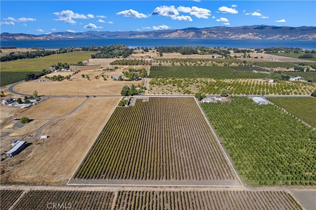 birds eye view of property with a water and mountain view and a rural view