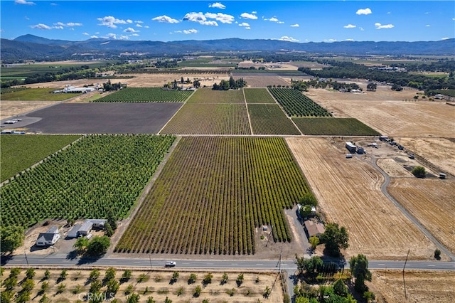 drone / aerial view featuring a rural view and a mountain view