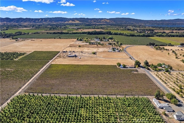 birds eye view of property featuring a rural view and a mountain view