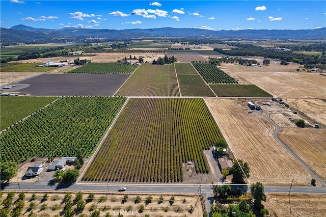 drone / aerial view featuring a mountain view and a rural view