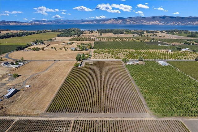 bird's eye view featuring a water and mountain view and a rural view