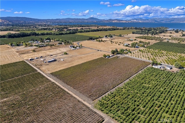 drone / aerial view with a mountain view and a rural view