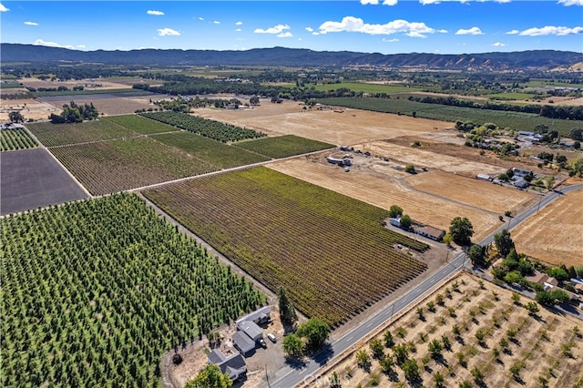 aerial view featuring a rural view and a mountain view