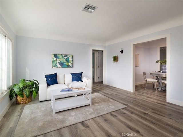 living room featuring wood-type flooring