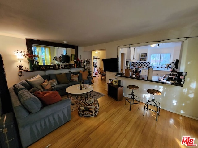 living room featuring wood-type flooring