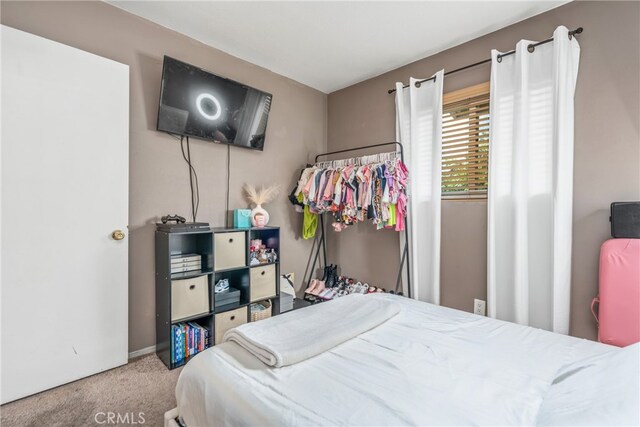 bedroom with carpet flooring