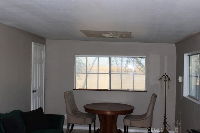 dining room with a textured ceiling and plenty of natural light