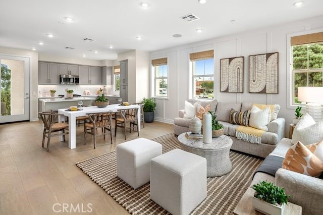 living room featuring light wood-type flooring and a wealth of natural light