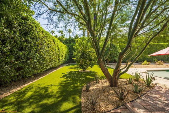 view of property's community with a yard