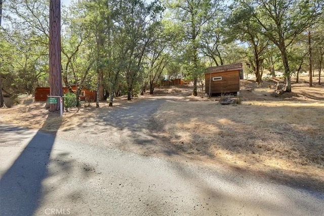 12828 Broyles Trl, Oregon House, CA 95962 - view of dirt / gravel driveway