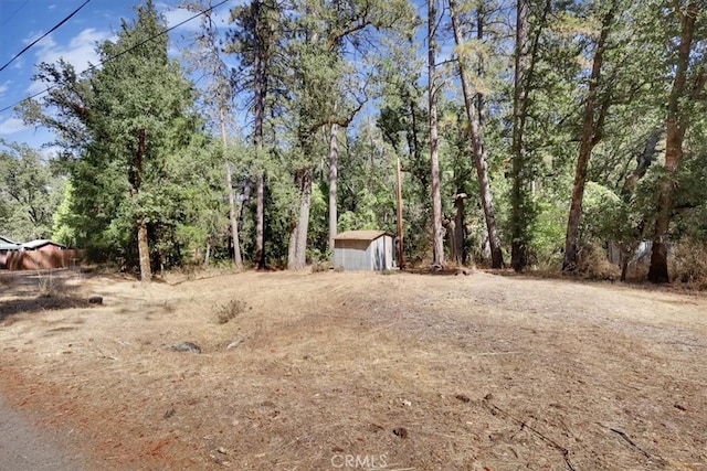 view of yard with a shed