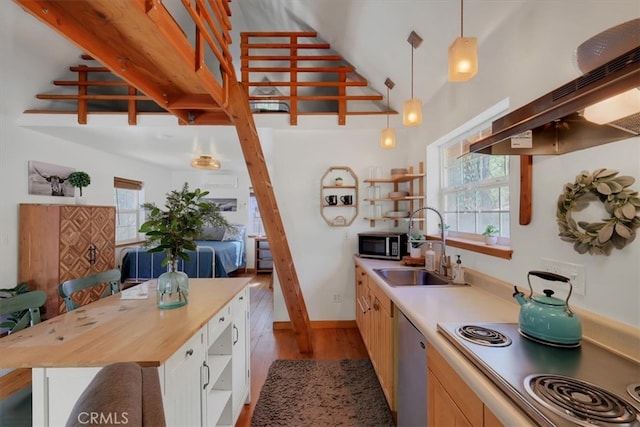 kitchen with stainless steel appliances, sink, light hardwood / wood-style floors, butcher block countertops, and pendant lighting