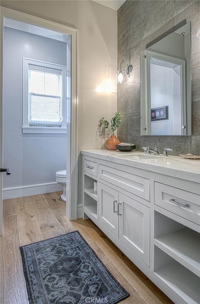 bathroom with toilet and vanity