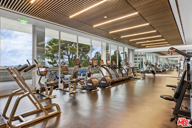 workout area featuring a wealth of natural light