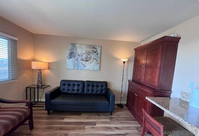 sitting room with light hardwood / wood-style floors