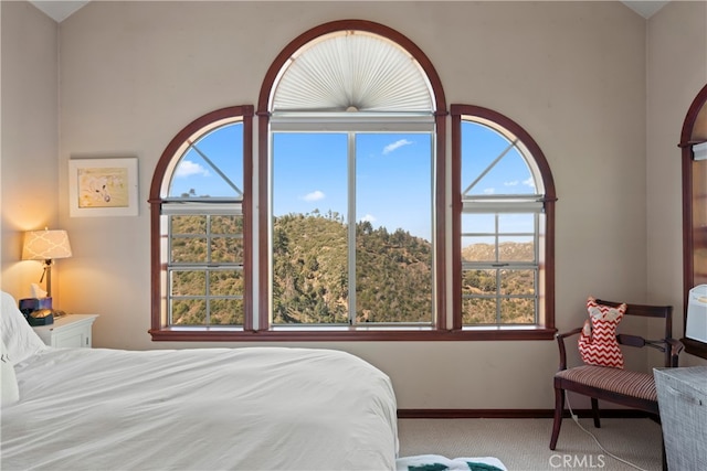 bedroom featuring vaulted ceiling and carpet