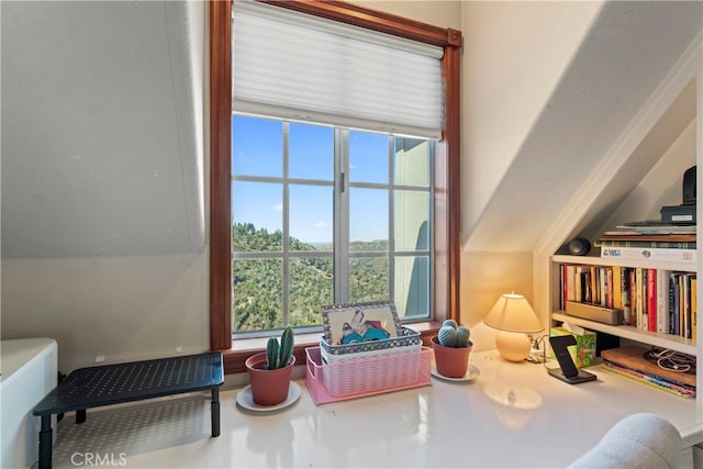 sitting room featuring a wealth of natural light