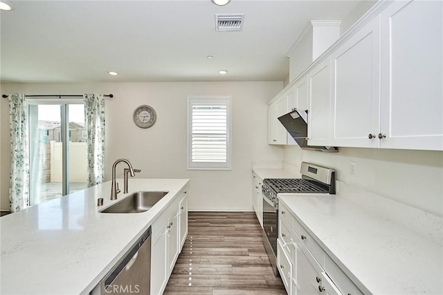 kitchen featuring wood-type flooring, stainless steel appliances, a healthy amount of sunlight, and sink