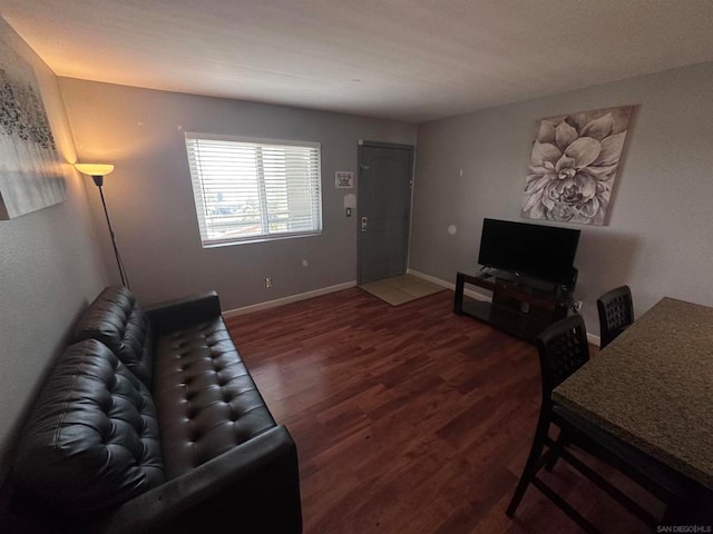 living room featuring dark wood-type flooring