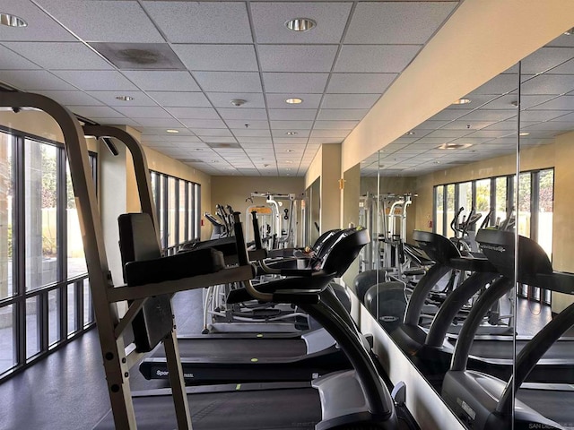 exercise room featuring a paneled ceiling and a healthy amount of sunlight