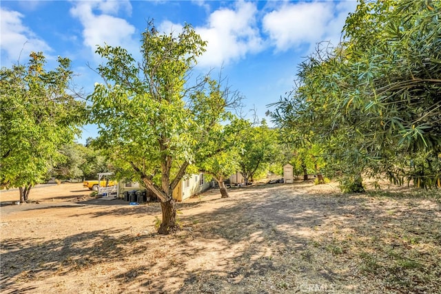 view of yard featuring a rural view