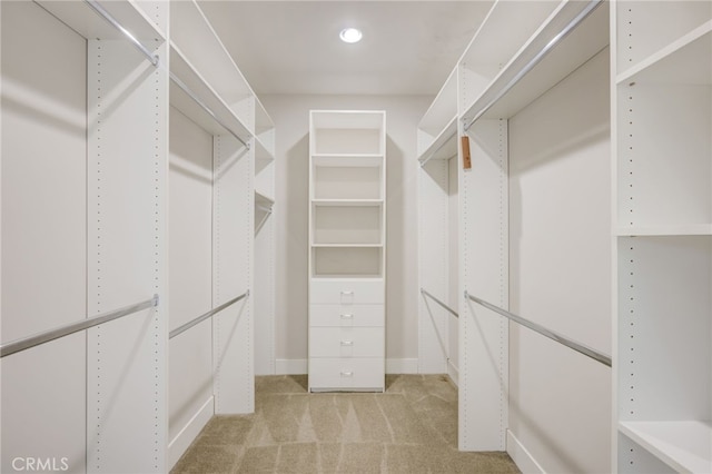 walk in closet featuring light carpet