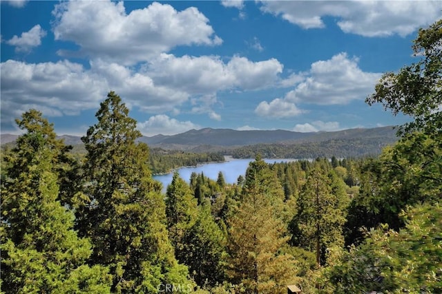 view of mountain feature featuring a water view