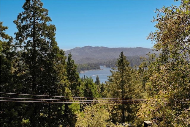 property view of mountains with a water view