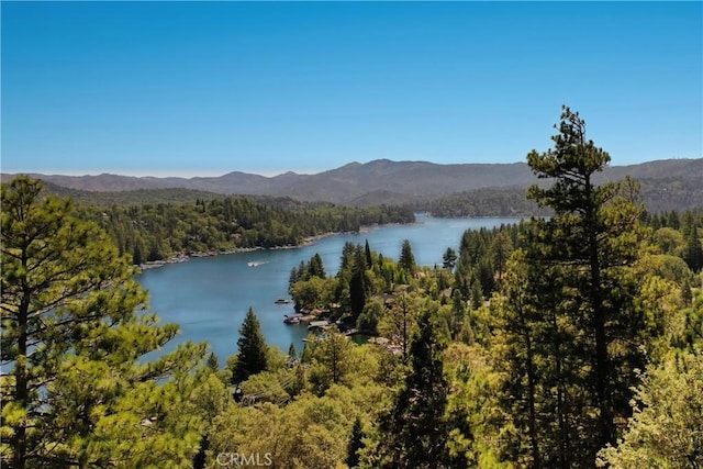 water view featuring a mountain view