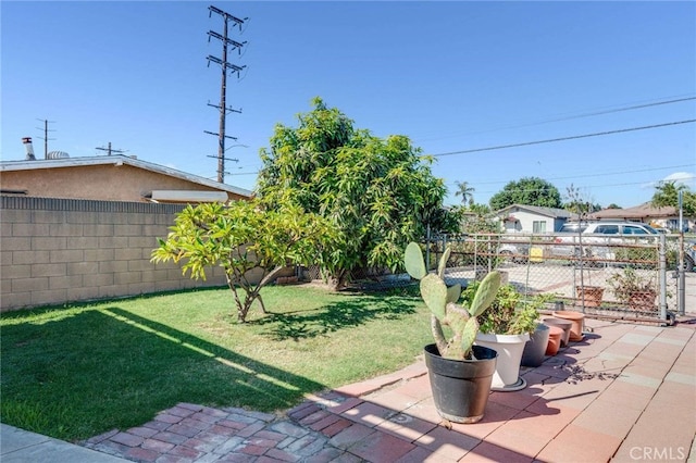 view of yard with a patio