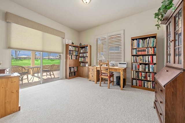 office space with light colored carpet