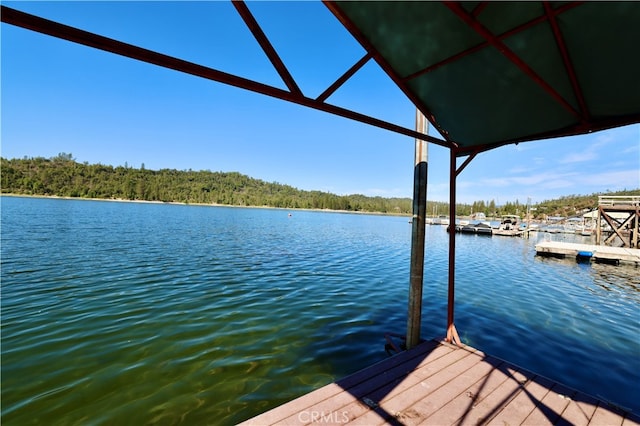 dock area featuring a water view