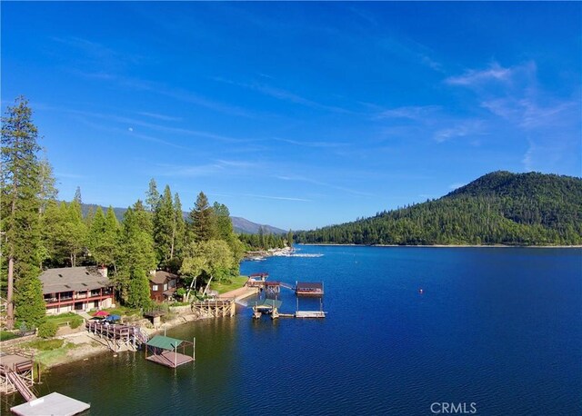 39602 Mallard, Bass Lake, CA 93604 - photo 40