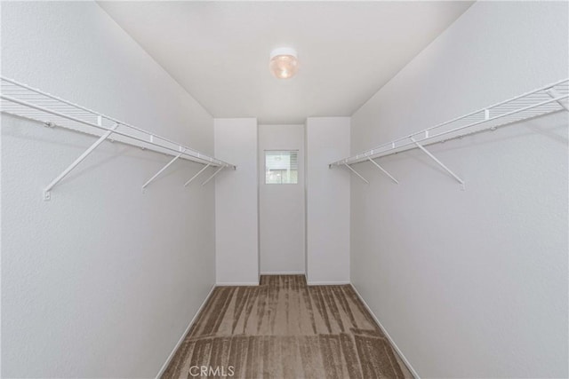 walk in closet with carpet