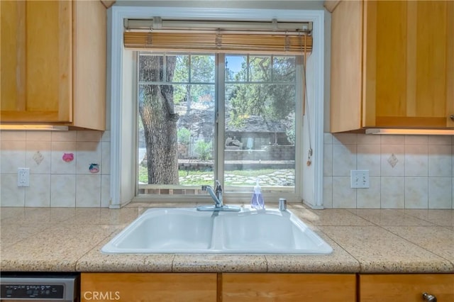 kitchen with tasteful backsplash, a wealth of natural light, and sink