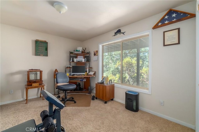 office with light colored carpet